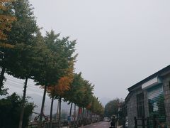 -济南马套将军山