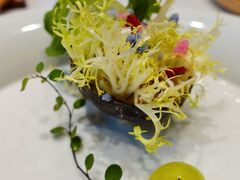 -叶叶菩提·晋福宫