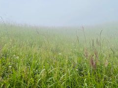 -萍乡武功山风景名胜区