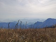 -白草畔自然风景区