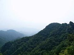 -大岭沟猕猴桃谷风景区