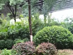 -大妙火锅·非物质文化遗产(东湖公园店)