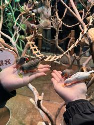 -Zoolung Zoolung动物主题公园(海信广场店)