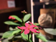 -王府茶楼茶宴·创意菜(大观园总店)