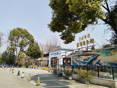 -丁老爷子苏香圆