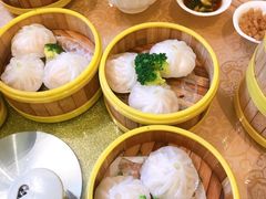 -潮福汇