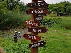 -田园东方蜜桃村的田野营地