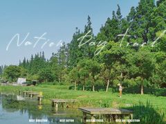 -前小桔亲子创意农场·草莓采摘·露营烧烤