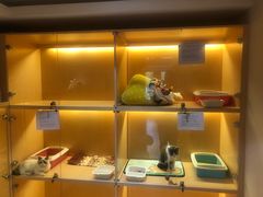-Pets First伊珊娜洗护·精致美容·家庭式寄养(新会路店)