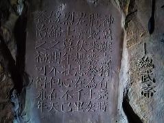 -大金鹰园