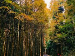 -山王坪喀斯特国家生态公园