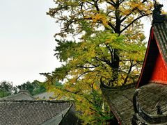 -金堂县云顶石城风景区