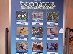 -迪士尼小镇