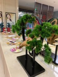 -瑞鑫创美·高定轻医美