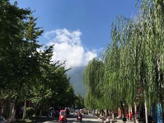-唐咖精品咖啡(大理古城手冲店)