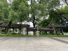 -荔湾湖公园