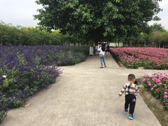 -广东花都香草世界旅游度假区