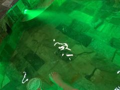 -兴芮温泉度假区