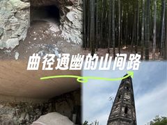 -上海佘山国家森林公园天马山园