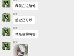 -趣玩宠物乐园寄养训犬训狗游泳池
