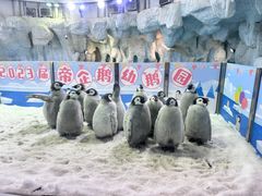 -珠海长隆海洋王国