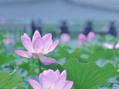 -重元寺