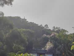 -深圳国际园林花卉博览园