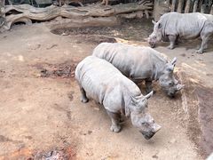 -长鹿旅游休博园