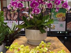 -黔蘑菇四季餐厅(观山湖店)