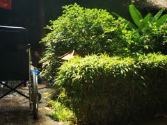 -观唐（国际）度假村温泉