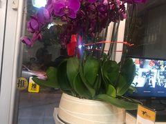 -寻香羊小羊·徐州烧烤(南京店)