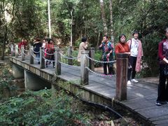 -九龙江国家森林公园