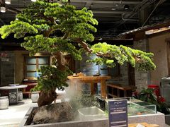 -丹江渔村(首都机场店)