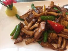 -京华世纪酒店·潮苑大酒楼(益华百货店)