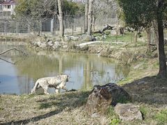 -上海野生动物园