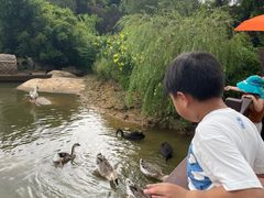 -厦门悦华酒店