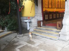 -江阴君山寺