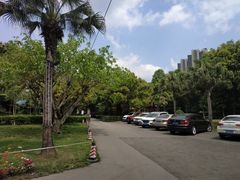 -二荆条·蜀鲜汇城市森林火锅