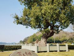 -东钱湖旅游度假区