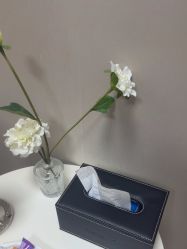 -上海玫瑰医疗美容医院