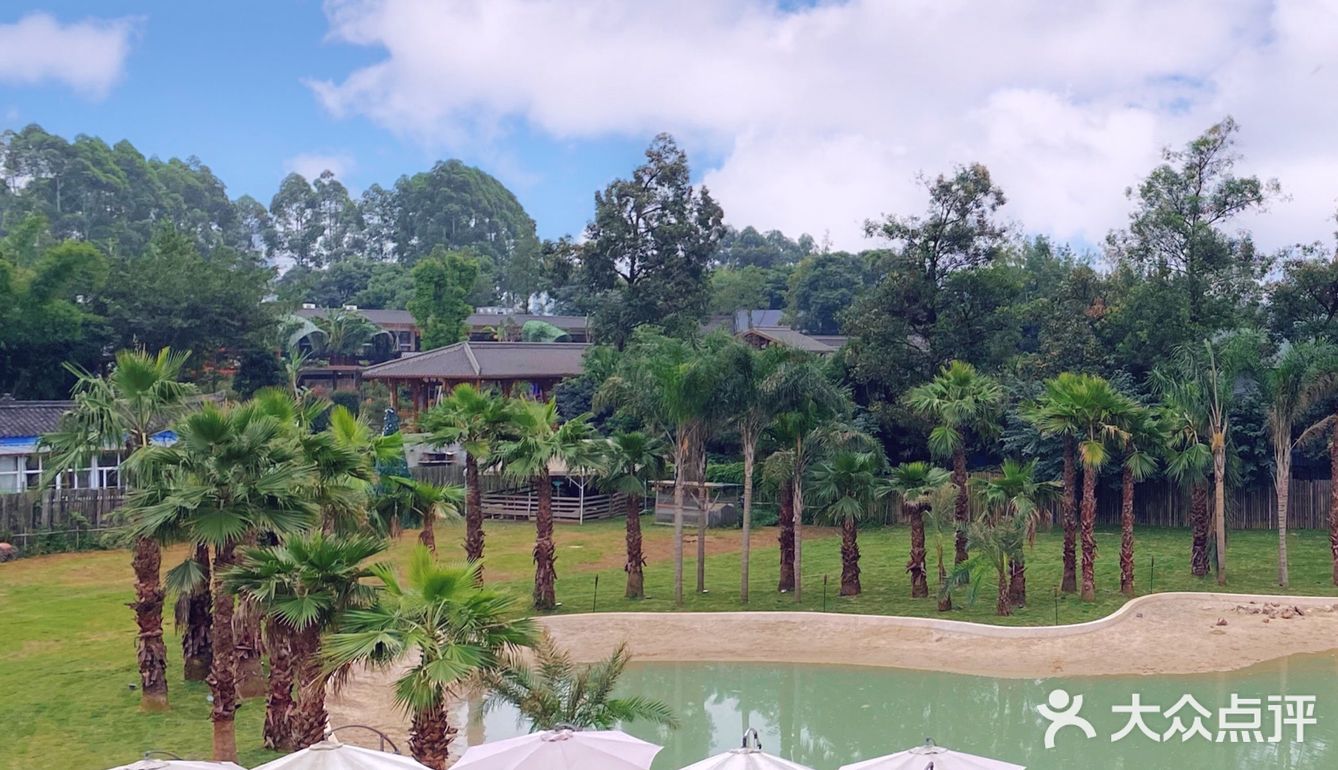 🏝成都的小巴厘岛 📷刷爆朋友圈 