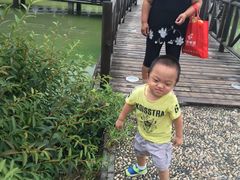 -田园东方蜜桃村的田野营地