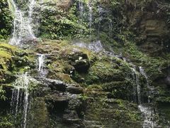 -云南屏边大围山国家公园