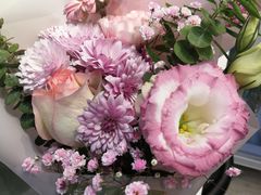 -花未央花店·WEYOUNG