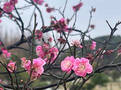 -艾溪湖湿地公园