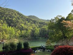 -桃花岭景区