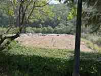 -丹东市五龙山风景区