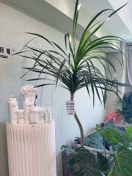 -Lumi露米·美甲美睫品质店