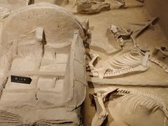 -洛阳周王城天子驾六博物馆