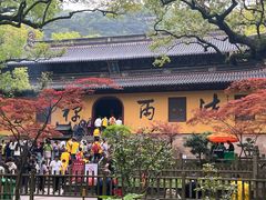 -普陀山风景名胜区-法雨禅寺